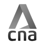 cna-removebg-preview (1)